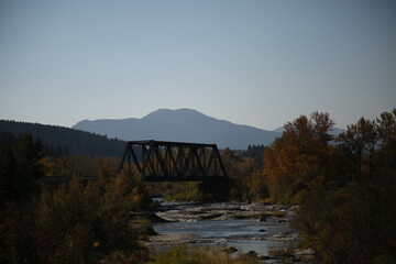 bridge over the river