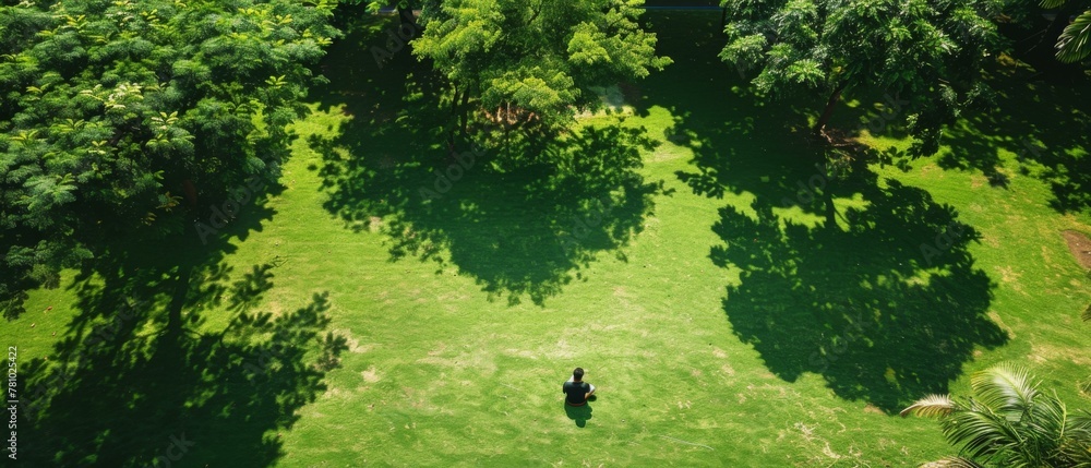 Poster a person sitting on a lawn with trees in the background. generative ai.