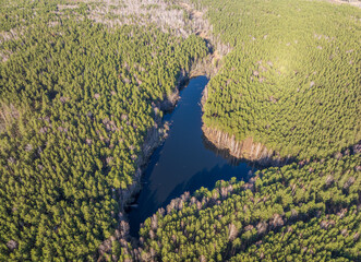 Spring or autumn lake in forest. Aerial view of lake in spring or autumn