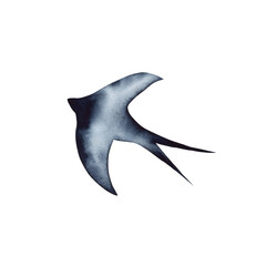 Swallow, martlet. Clear white sky, bird in natural habitat. Barn swallow flying, wings spread. Hirundo rustica on white background. Wildlife. Tattoo design, watercolor art, wild animals, free