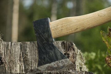 Hatchet or axe stuck in a tree stump against forest