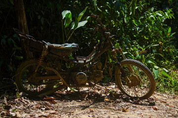 Rostiges Motorrad Wrack im Wald