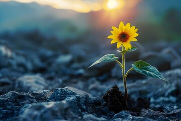 Sunflower Radiating Positivity and Resilience in the Face of Adversity - obrazy, fototapety, plakaty