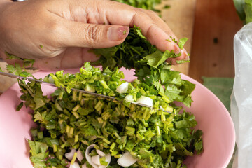 A slicing cilantro - coriander (Coriandrum sativum) is pouring into the bowl.