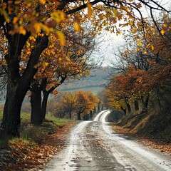road in autumn