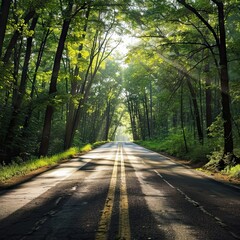 road in the forest