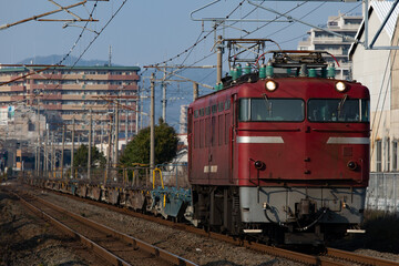 Fototapeta na wymiar 鹿児島本線の貨物列車 ED76