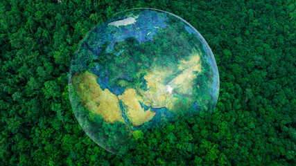 Atmospheric aerial view of the green forest with the earth Demonstrate the concept of preserving the top ecosystem and natural environment and Save Earth.	
