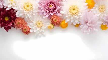 Clean and simplistic composition of assorted chrysanthemums from above, leaving ample space for your text.