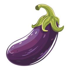 Eggplant vegetables flat vector on white background