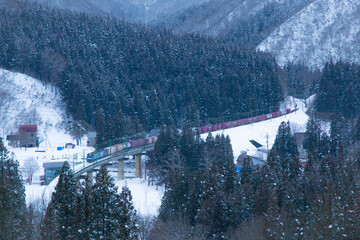 雪山と貨物列車EH200