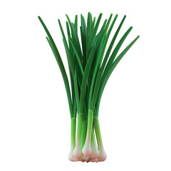 A close up of a bunch of green onions on a Transparent Background