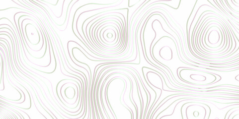  Abstract topographic background. Blank topographic contour map subtle. Vector background design. geographic design background. - obrazy, fototapety, plakaty