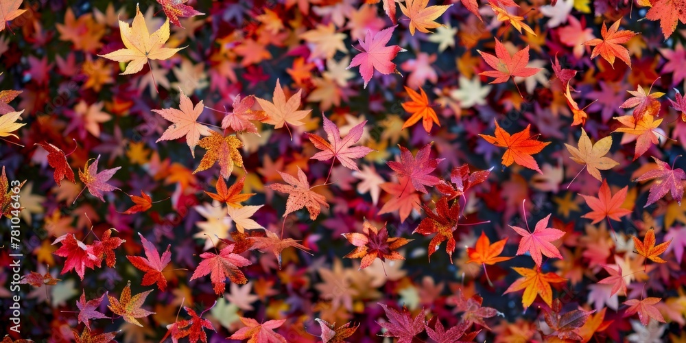 Poster a colorful array of autumn maple leaves in a dynamic free fall.