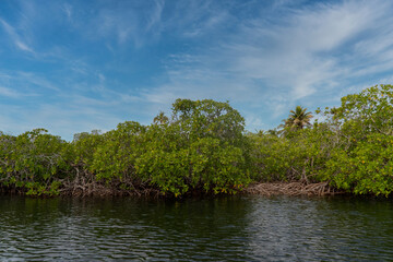 Boat on the seashore and stone spur. San Bernardo, Bolivar, Colombia. 