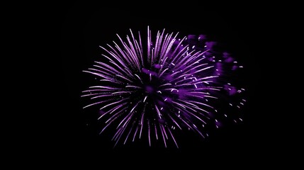 Happy New Year 2025 as Purple Fireworks celebrate their anniversary