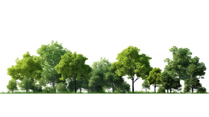 Green real trees on transparent background, Green tree isolated with cut out on forest or park