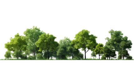 Green real trees on transparent background, Green tree isolated with cut out on forest or park