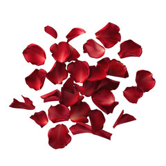 Red petals close-up on Transparent Background