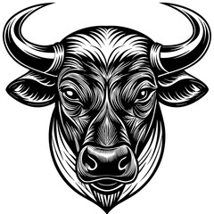        Bullhead vector illustration.
