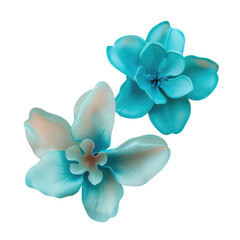 Two blue flowers on Transparent Background