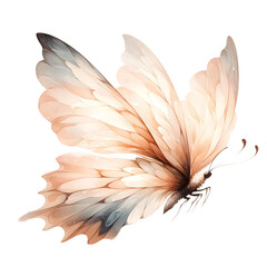 dream fairy watercolor - butterfly