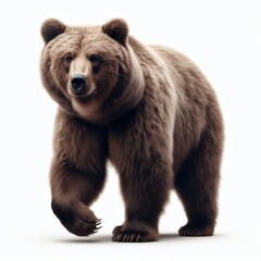 Image of isolated grizzly bear against pure white background, ideal for presentations
