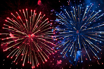 Forth of July firework explosions in the night sky