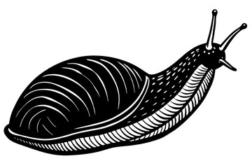 slug silhouette vector art illustration