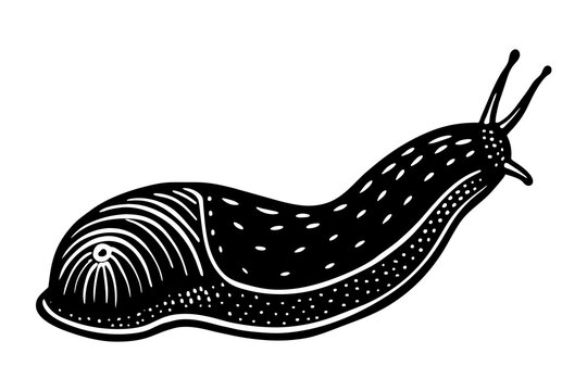 recommend clip art: slug silhouette vector art illustration