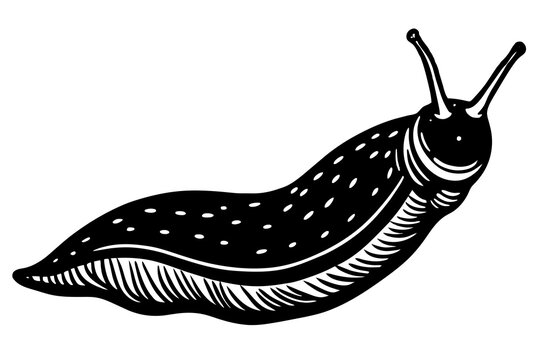 recommend clip art: slug silhouette vector art illustration