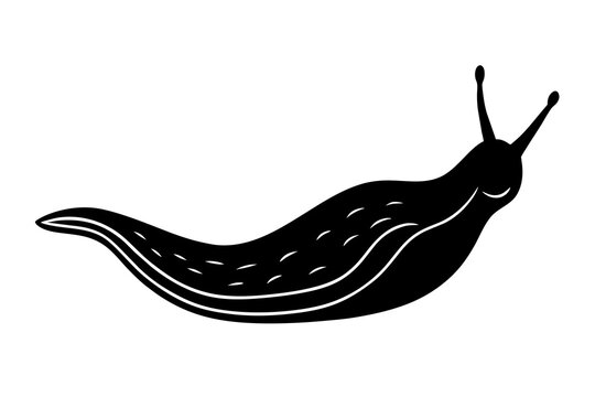 Slug Vector Images – Browse 188,366 Stock Photos, Vectors, and Video ...