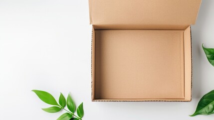 Box with plant on white surface