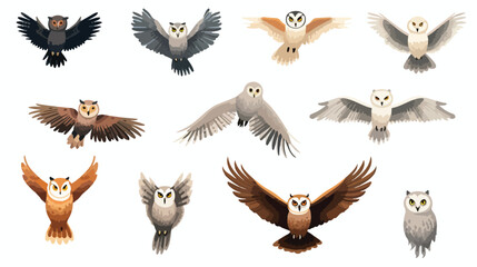 Flat vector set of different species of owls. Wild - obrazy, fototapety, plakaty