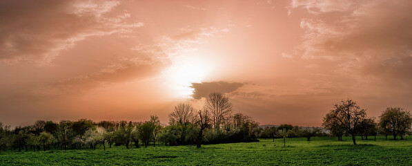 Auf- oder untergehende Sonne mit von Saharastaub orange bis rötlich gefärbtem milchig-trübem Himmel mit Wolken über landwirtschaftlich genutzter Fläche und Bäumen