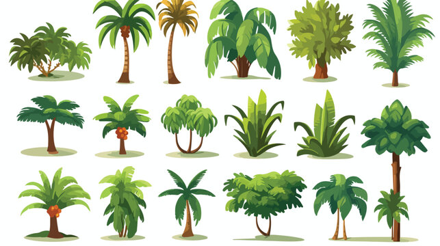 Flat vector set of palm trees. Plants of tropical f
