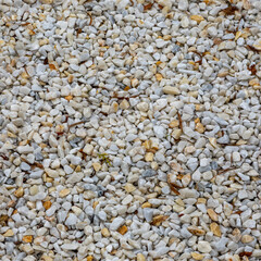 Seamless texture of white pebbles - 781079248