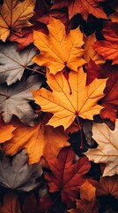 A close up of a pile of autumn leaves with a variety of colors