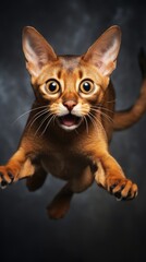 A cat is jumping in the air with its mouth open