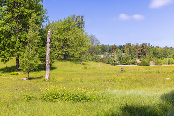 Meadow landscape view a beautiful summer day