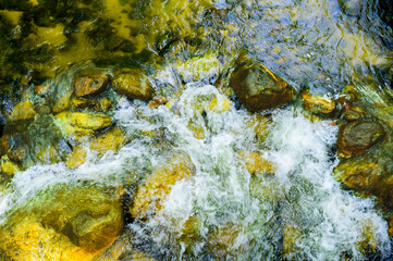 The flow of water are clear and clean in the forest