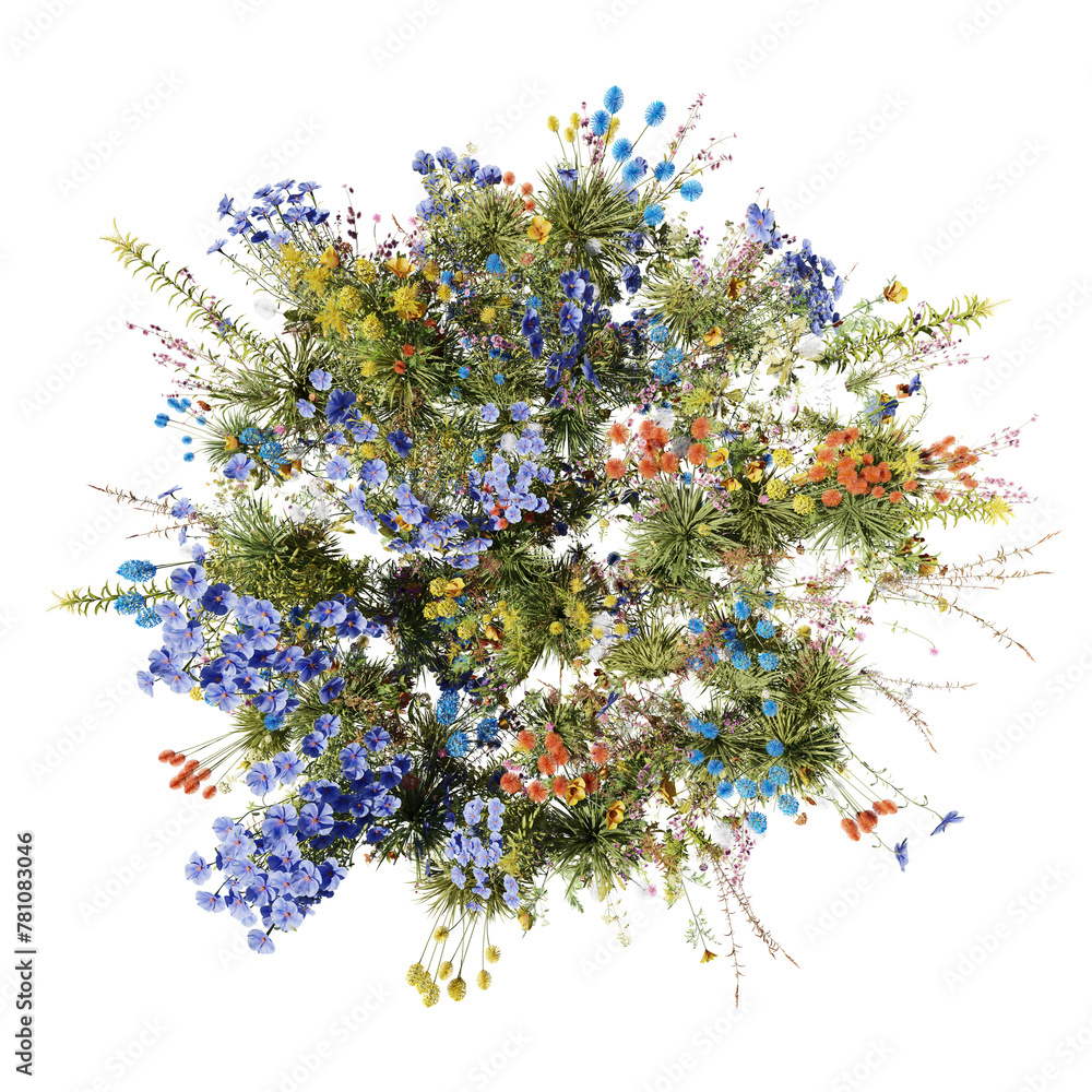 Poster top view, evergreen colorful flowers and grass field in nature with isolated on transparent backgrou