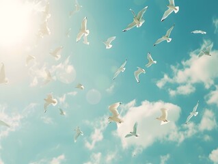 Fototapeta premium Birds fly in the sky , freedom concept