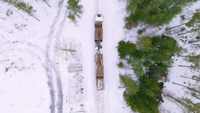 Truck loaded with harvested tree logs drive on snowy forest road, drone overhead