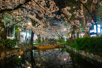 小川の夜桜