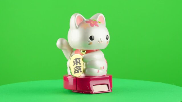 Maneki neko lucky japanese cat symbol with sakura say hi gold coin fortune on green background chroma key background replacement backdrop objet in a turntable 3d spinning loop