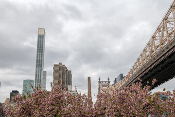 view of Roosevelt island on New York
