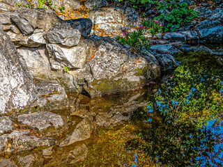Rocks are reflected on the calm surface of a small pond. A peaceful, refreshing moment in the forest. - 781087697