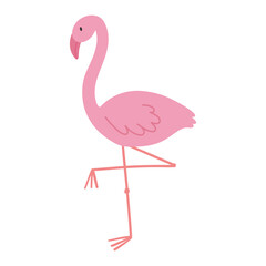 Pink flamingo isolated on white background. Flamingo vector illustration. Cute exotic bird.