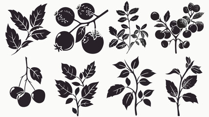Single seed fruit silhouette vector in image by hand - obrazy, fototapety, plakaty